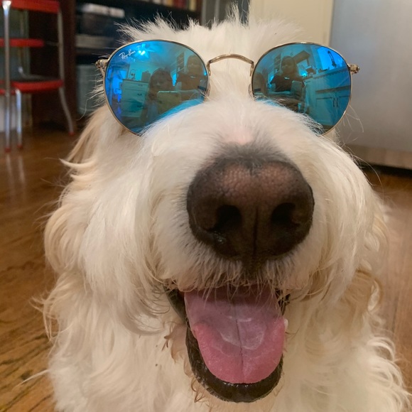 Meet your Posher, Cecilia - Picture 1 of 1